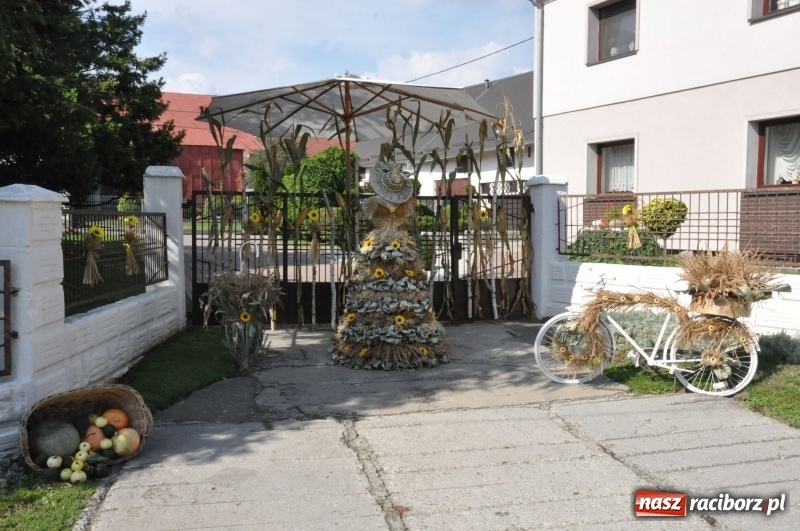 Zdjęcie w galerii na portalu naszraciborz.pl: Pomysłowe roszkowiki. Dożynkowy wystrój zagród  wiadomości z regionu