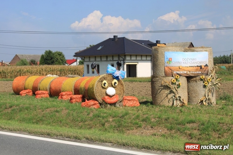Zdjęcie w galerii na portalu naszraciborz.pl: Pomysłowe roszkowiki. Dożynkowy wystrój zagród  wiadomości z regionu