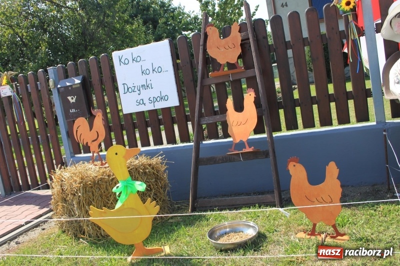Zdjęcie w galerii na portalu naszraciborz.pl: Pomysłowe roszkowiki. Dożynkowy wystrój zagród  wiadomości z regionu