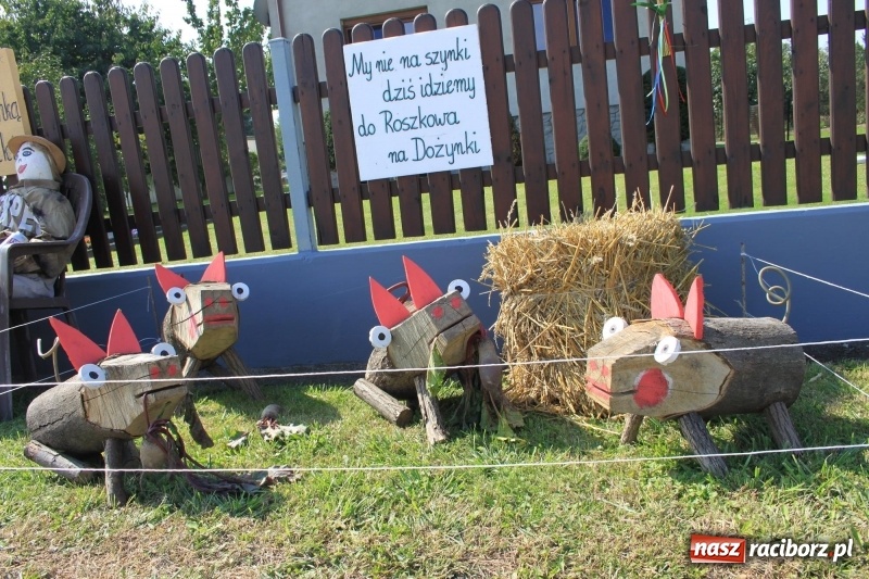 Zdjęcie w galerii na portalu naszraciborz.pl: Pomysłowe roszkowiki. Dożynkowy wystrój zagród  wiadomości z regionu