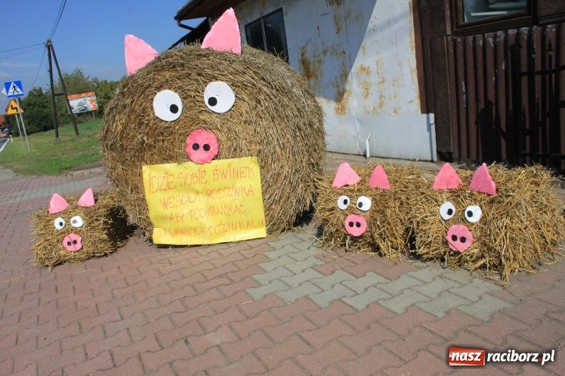 Zdjęcie w galerii na portalu naszraciborz.pl: Pomysłowe roszkowiki. Dożynkowy wystrój zagród  wiadomości z regionu
