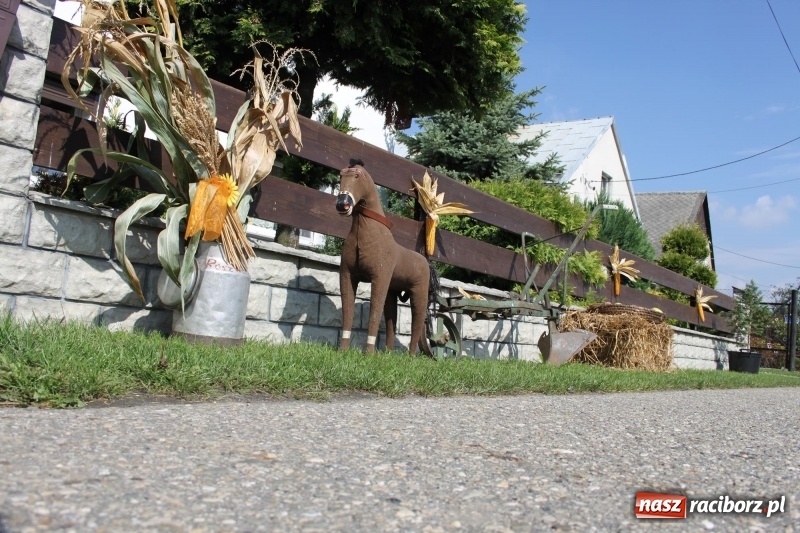 Zdjęcie w galerii na portalu naszraciborz.pl: Pomysłowe roszkowiki. Dożynkowy wystrój zagród  wiadomości z regionu