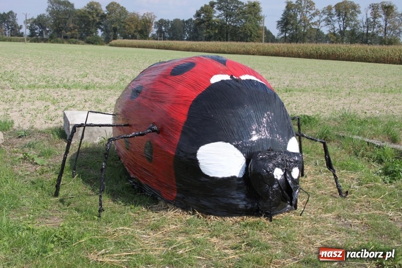 Zdjęcie w galerii na portalu naszraciborz.pl: Pomysłowe roszkowiki. Dożynkowy wystrój zagród  wiadomości z regionu