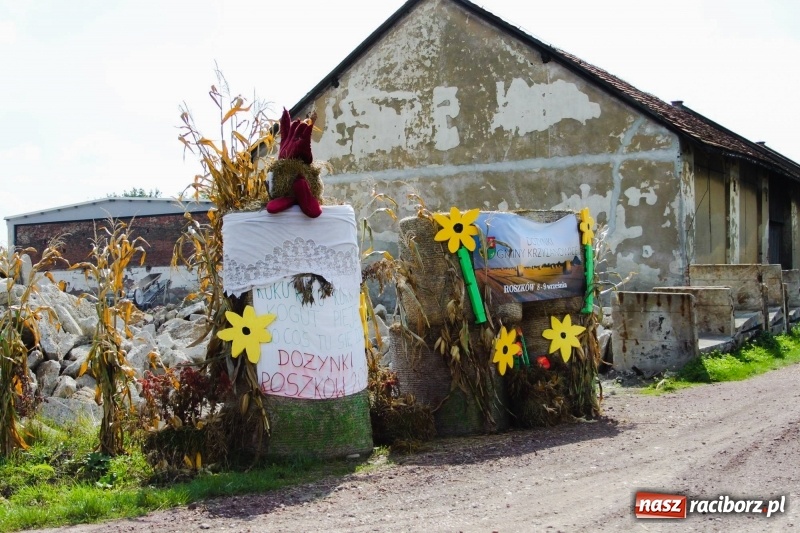 Zdjęcie w galerii na portalu naszraciborz.pl: Pomysłowe roszkowiki. Dożynkowy wystrój zagród  wiadomości z regionu