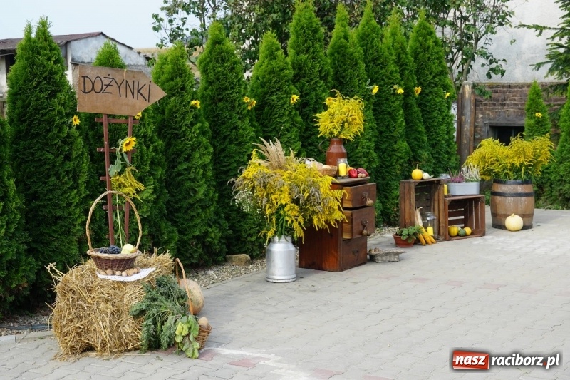 Zdjęcie w galerii na portalu naszraciborz.pl: Dożynki w Gamowie. Rodzinne dziękowanie za plony  wiadomości z regionu