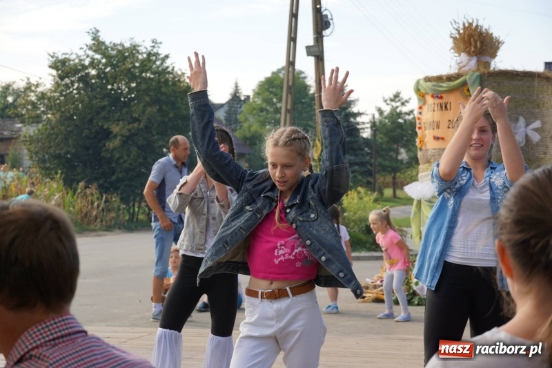 Zdjęcie w galerii na portalu naszraciborz.pl: Dożynki w Gamowie. Rodzinne dziękowanie za plony  wiadomości z regionu