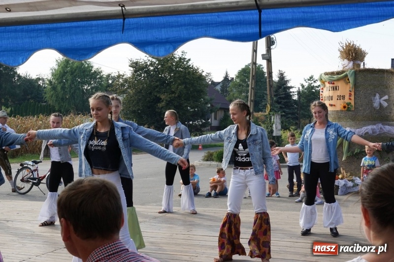 Zdjęcie w galerii na portalu naszraciborz.pl: Dożynki w Gamowie. Rodzinne dziękowanie za plony  wiadomości z regionu