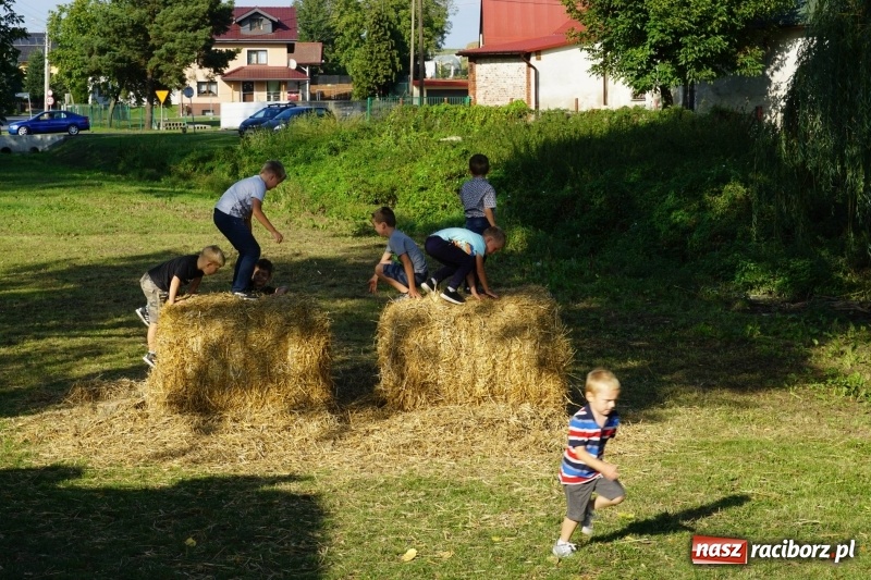 Zdjęcie w galerii na portalu naszraciborz.pl: Dożynki w Gamowie. Rodzinne dziękowanie za plony  wiadomości z regionu