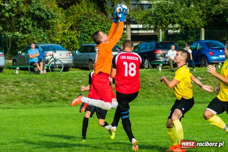 Zdjęcie w galerii na portalu naszraciborz.pl: Pewność siebie bywa zgubna. Brzezie pierwszym pogromcą Nowej Wsi wiadomości z regionu