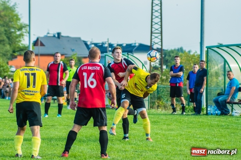 Zdjęcie w galerii na portalu naszraciborz.pl: Pewność siebie bywa zgubna. Brzezie pierwszym pogromcą Nowej Wsi wiadomości z regionu