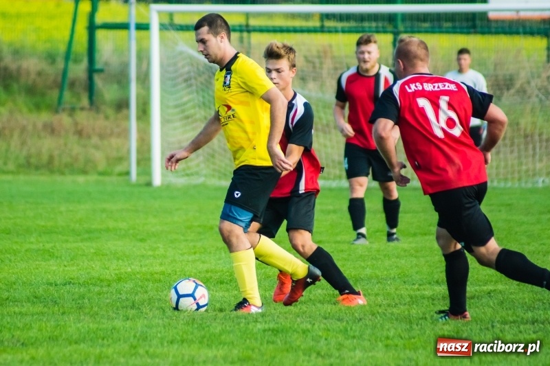 Zdjęcie w galerii na portalu naszraciborz.pl: Pewność siebie bywa zgubna. Brzezie pierwszym pogromcą Nowej Wsi wiadomości z regionu