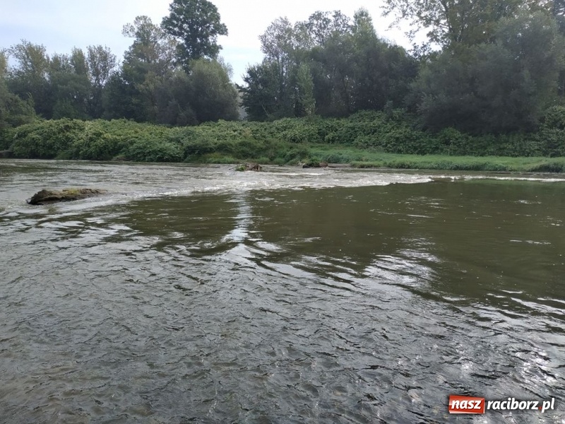 Zdjęcie w galerii na portalu naszraciborz.pl: Z Bohumina do Raciborza. Polsko-Czeski Maraton Odrzański  wiadomości z regionu