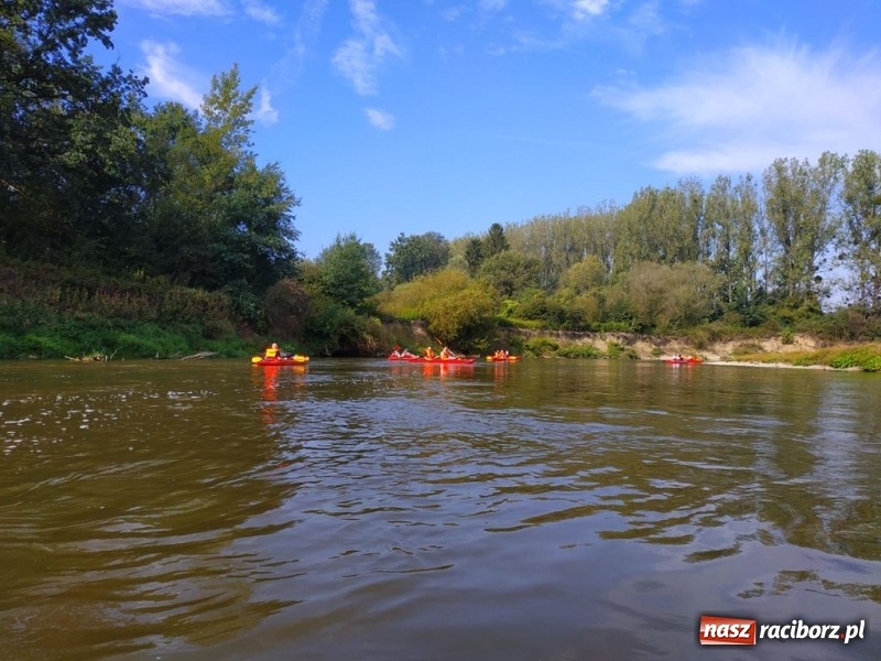 Zdjęcie w galerii na portalu naszraciborz.pl: Z Bohumina do Raciborza. Polsko-Czeski Maraton Odrzański  wiadomości z regionu