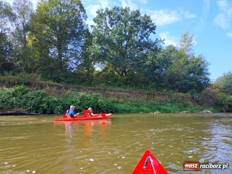 Zdjęcie w galerii na portalu naszraciborz.pl: Z Bohumina do Raciborza. Polsko-Czeski Maraton Odrzański  wiadomości z regionu
