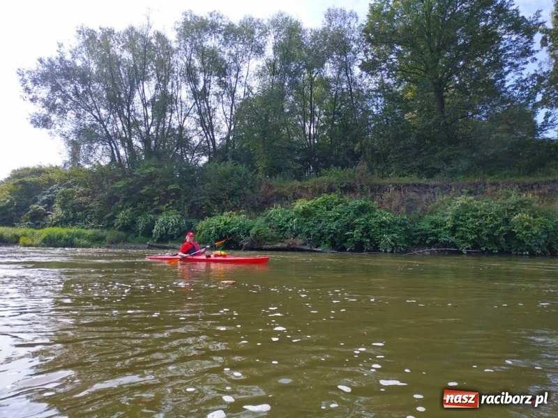 Zdjęcie w galerii na portalu naszraciborz.pl: Z Bohumina do Raciborza. Polsko-Czeski Maraton Odrzański  wiadomości z regionu
