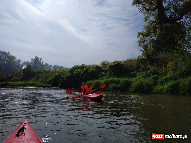 Zdjęcie w galerii na portalu naszraciborz.pl: Z Bohumina do Raciborza. Polsko-Czeski Maraton Odrzański  wiadomości z regionu