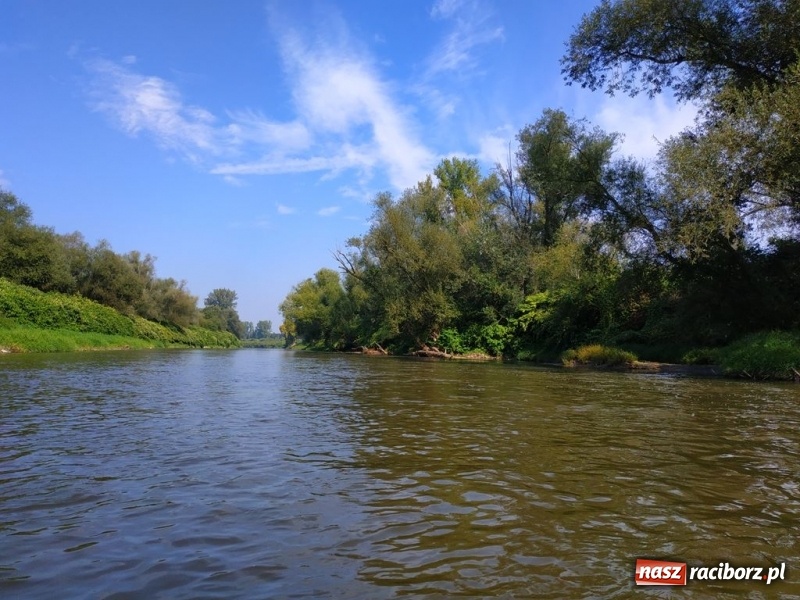 Zdjęcie w galerii na portalu naszraciborz.pl: Z Bohumina do Raciborza. Polsko-Czeski Maraton Odrzański  wiadomości z regionu