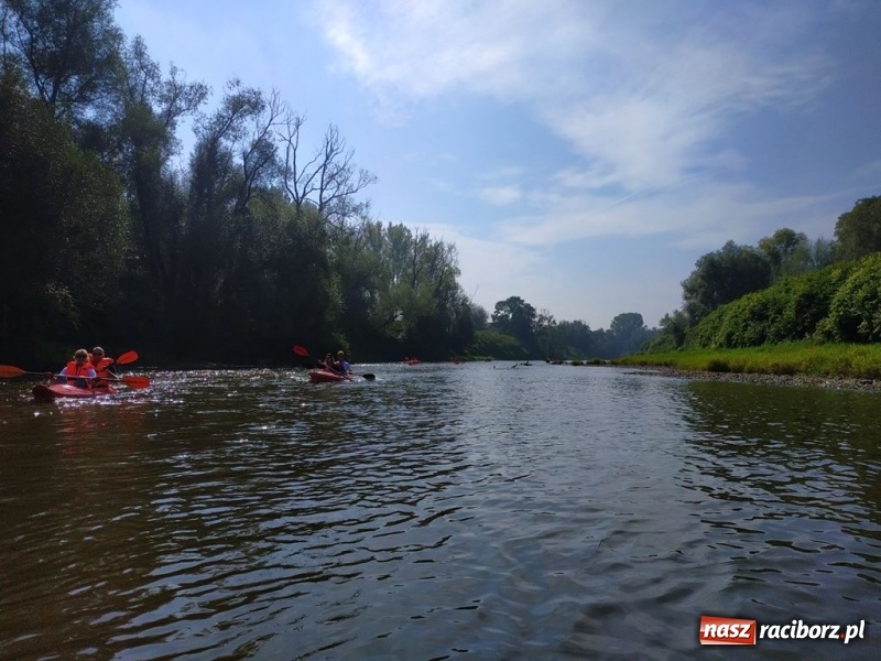 Zdjęcie w galerii na portalu naszraciborz.pl: Z Bohumina do Raciborza. Polsko-Czeski Maraton Odrzański  wiadomości z regionu