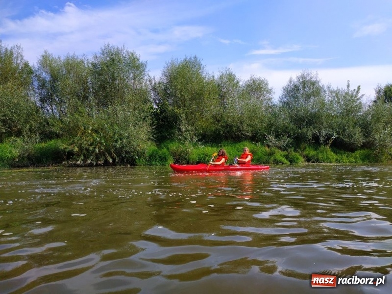Zdjęcie w galerii na portalu naszraciborz.pl: Z Bohumina do Raciborza. Polsko-Czeski Maraton Odrzański  wiadomości z regionu