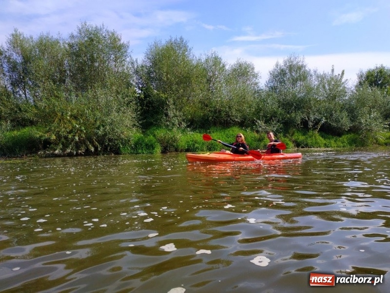 Zdjęcie w galerii na portalu naszraciborz.pl: Z Bohumina do Raciborza. Polsko-Czeski Maraton Odrzański  wiadomości z regionu