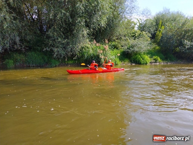 Zdjęcie w galerii na portalu naszraciborz.pl: Z Bohumina do Raciborza. Polsko-Czeski Maraton Odrzański  wiadomości z regionu