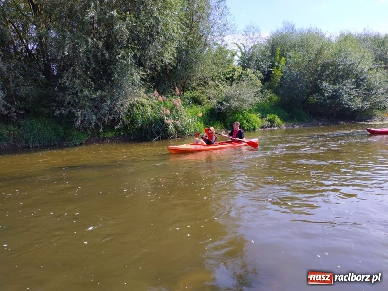 Zdjęcie w galerii na portalu naszraciborz.pl: Z Bohumina do Raciborza. Polsko-Czeski Maraton Odrzański  wiadomości z regionu