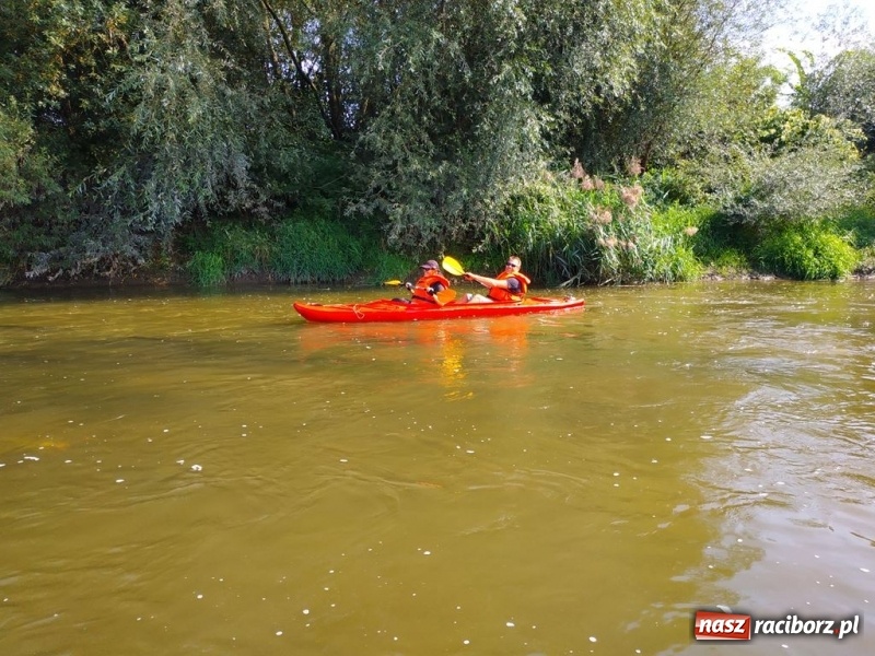 Zdjęcie w galerii na portalu naszraciborz.pl: Z Bohumina do Raciborza. Polsko-Czeski Maraton Odrzański  wiadomości z regionu