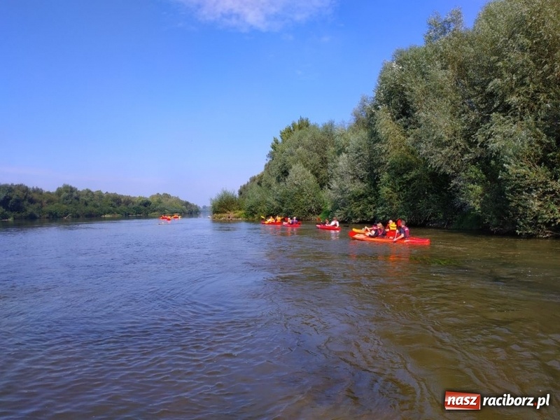 Zdjęcie w galerii na portalu naszraciborz.pl: Z Bohumina do Raciborza. Polsko-Czeski Maraton Odrzański  wiadomości z regionu