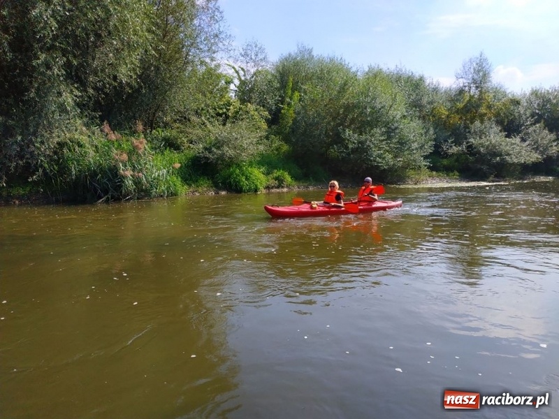 Zdjęcie w galerii na portalu naszraciborz.pl: Z Bohumina do Raciborza. Polsko-Czeski Maraton Odrzański  wiadomości z regionu