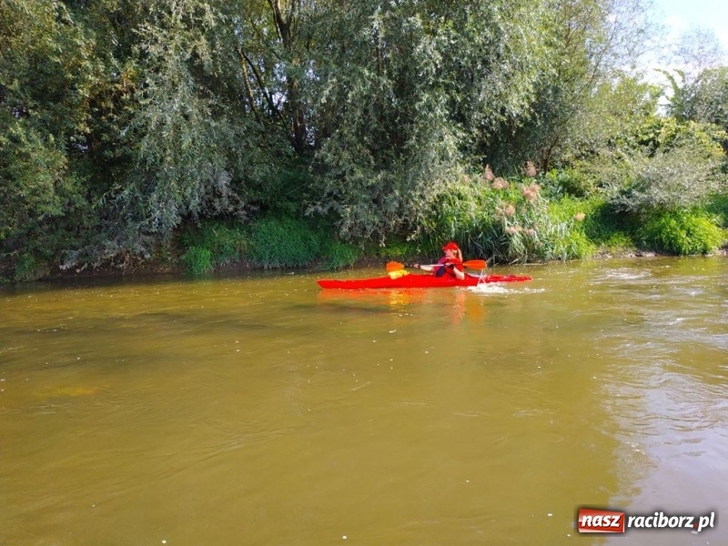 Zdjęcie w galerii na portalu naszraciborz.pl: Z Bohumina do Raciborza. Polsko-Czeski Maraton Odrzański  wiadomości z regionu