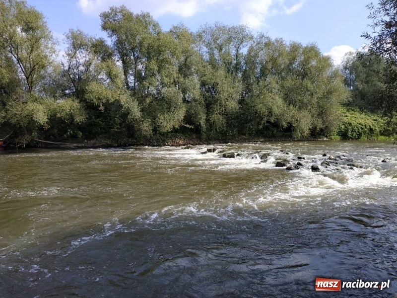 Zdjęcie w galerii na portalu naszraciborz.pl: Z Bohumina do Raciborza. Polsko-Czeski Maraton Odrzański  wiadomości z regionu