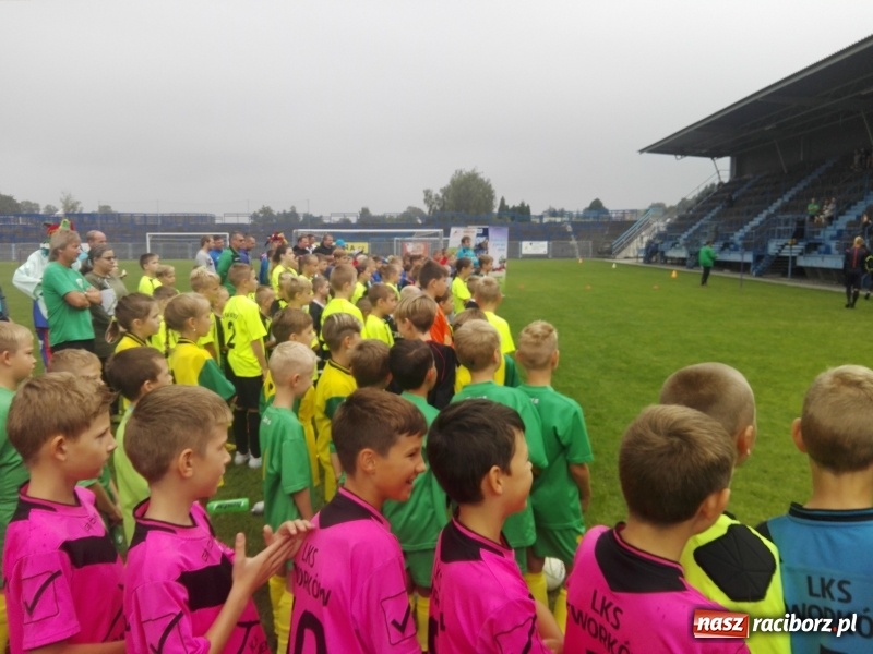 Zdjęcie w galerii na portalu naszraciborz.pl: Młodzi piłkarze LKS Tworków znów odnieśli sukces wiadomości z regionu