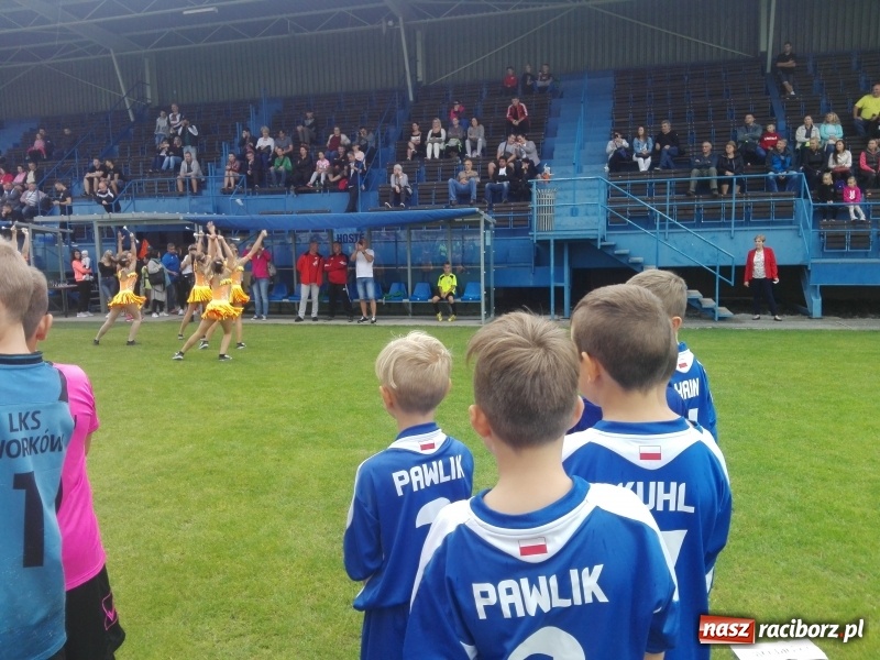 Zdjęcie w galerii na portalu naszraciborz.pl: Młodzi piłkarze LKS Tworków znów odnieśli sukces wiadomości z regionu