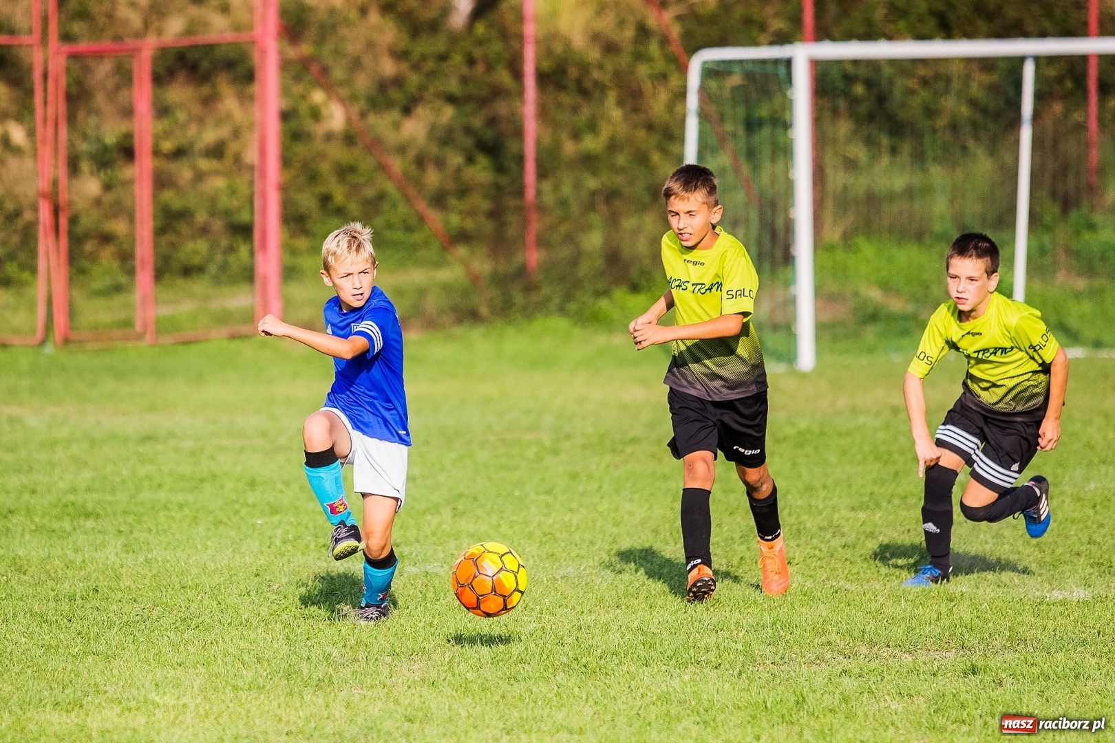 Zdjęcie w galerii na portalu naszraciborz.pl: Pewna wygrana orlików Salosu Pogrzebień nad kuźniańską Stalą wiadomości z regionu