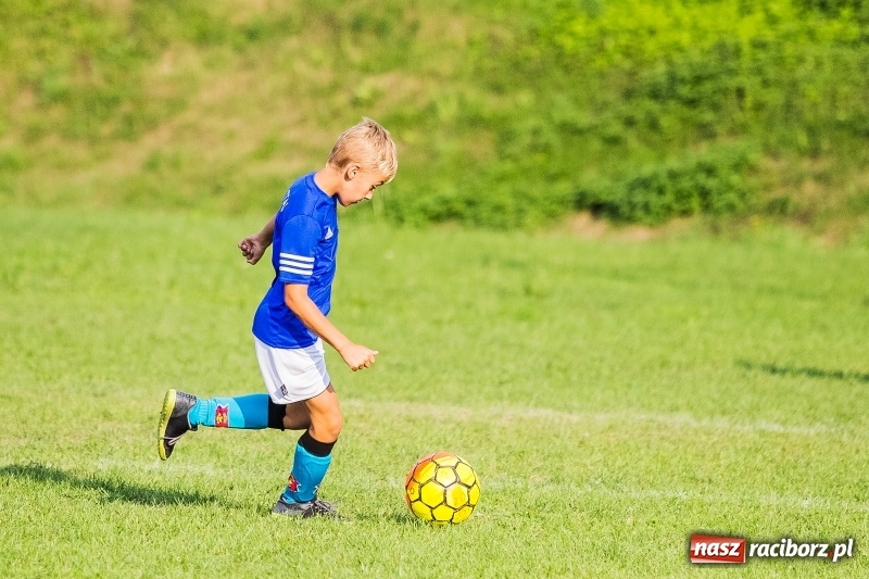 Zdjęcie w galerii na portalu naszraciborz.pl: Pewna wygrana orlików Salosu Pogrzebień nad kuźniańską Stalą wiadomości z regionu