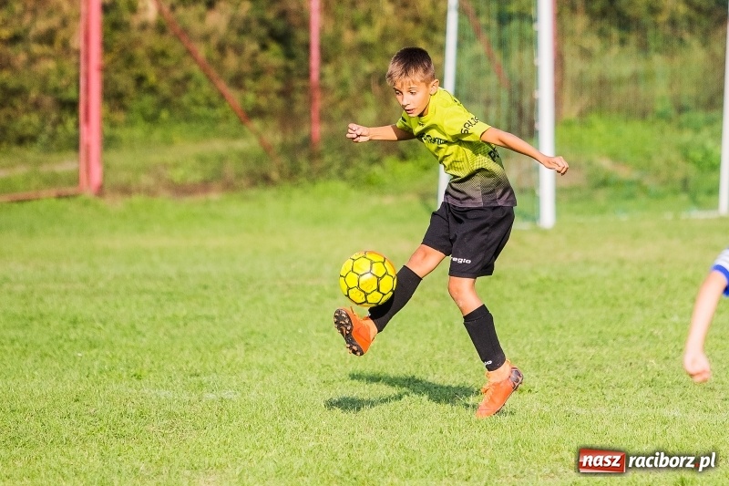 Zdjęcie w galerii na portalu naszraciborz.pl: Pewna wygrana orlików Salosu Pogrzebień nad kuźniańską Stalą wiadomości z regionu