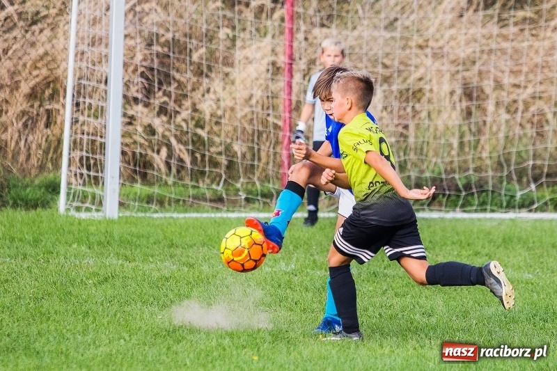 Zdjęcie w galerii na portalu naszraciborz.pl: Pewna wygrana orlików Salosu Pogrzebień nad kuźniańską Stalą wiadomości z regionu