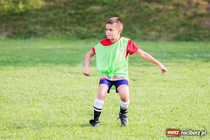 Zdjęcie w galerii na portalu naszraciborz.pl: Pewna wygrana orlików Salosu Pogrzebień nad kuźniańską Stalą wiadomości z regionu