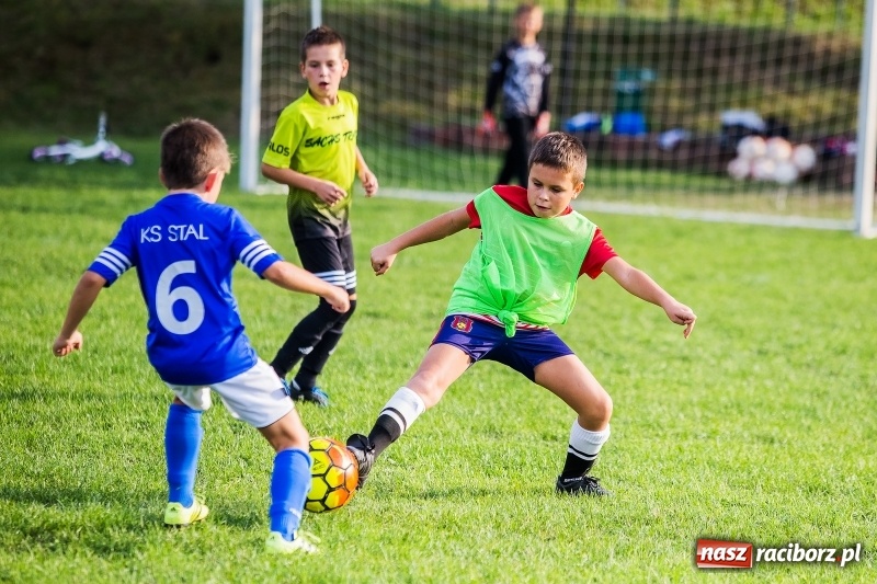 Zdjęcie w galerii na portalu naszraciborz.pl: Pewna wygrana orlików Salosu Pogrzebień nad kuźniańską Stalą wiadomości z regionu
