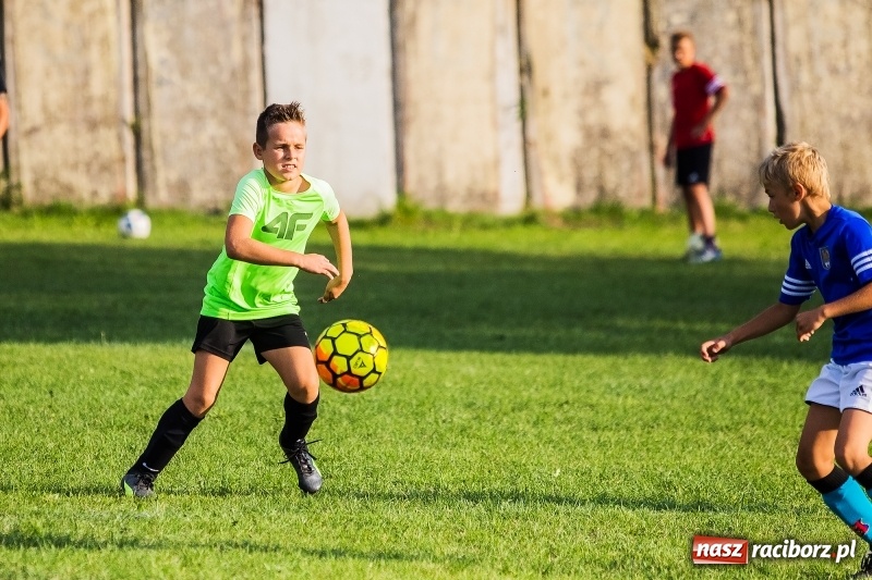 Zdjęcie w galerii na portalu naszraciborz.pl: Pewna wygrana orlików Salosu Pogrzebień nad kuźniańską Stalą wiadomości z regionu