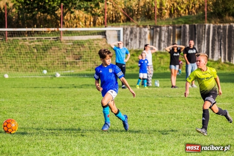 Zdjęcie w galerii na portalu naszraciborz.pl: Pewna wygrana orlików Salosu Pogrzebień nad kuźniańską Stalą wiadomości z regionu