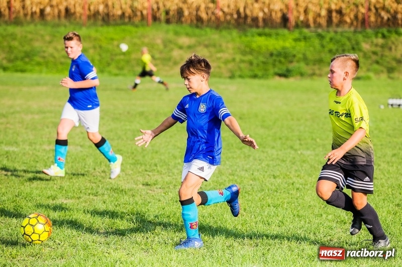 Zdjęcie w galerii na portalu naszraciborz.pl: Pewna wygrana orlików Salosu Pogrzebień nad kuźniańską Stalą wiadomości z regionu