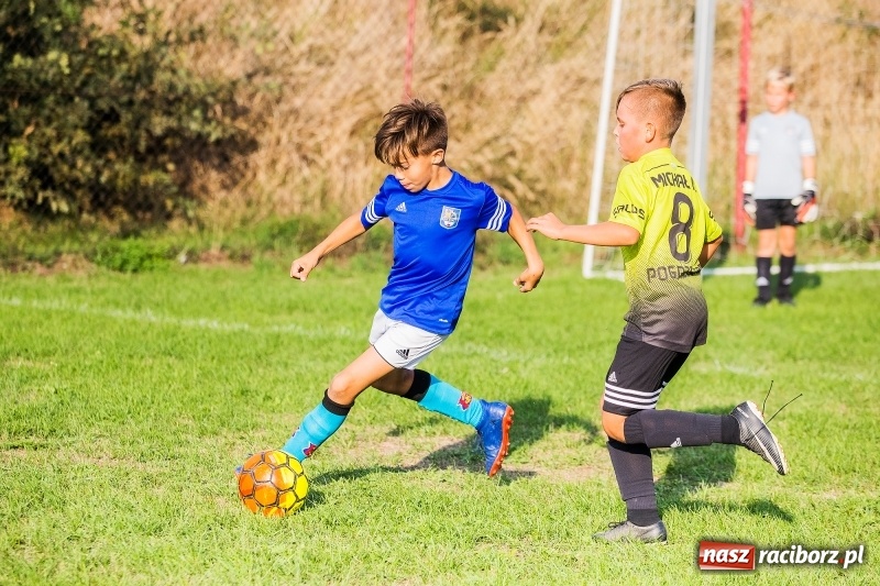 Zdjęcie w galerii na portalu naszraciborz.pl: Pewna wygrana orlików Salosu Pogrzebień nad kuźniańską Stalą wiadomości z regionu