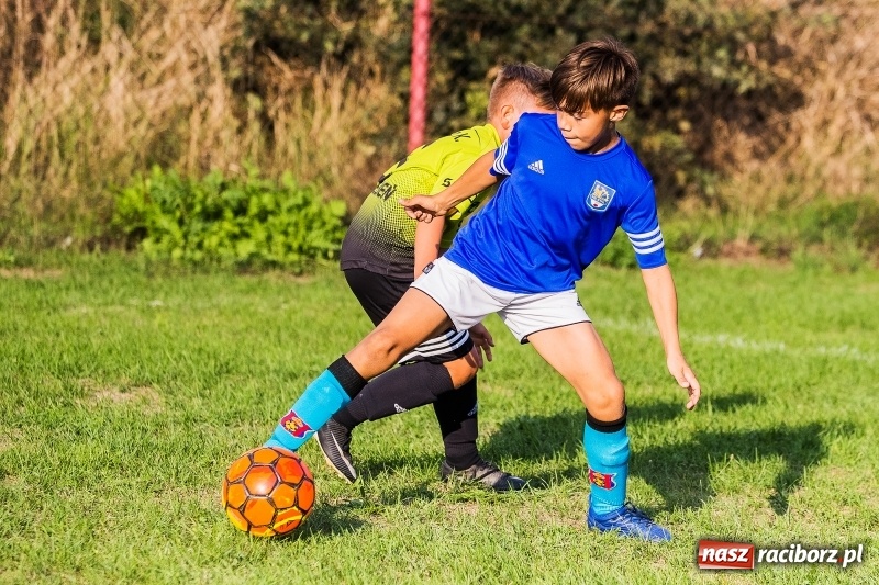 Zdjęcie w galerii na portalu naszraciborz.pl: Pewna wygrana orlików Salosu Pogrzebień nad kuźniańską Stalą wiadomości z regionu