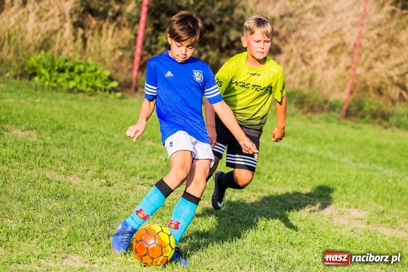 Zdjęcie w galerii na portalu naszraciborz.pl: Pewna wygrana orlików Salosu Pogrzebień nad kuźniańską Stalą wiadomości z regionu