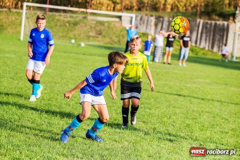 Zdjęcie w galerii na portalu naszraciborz.pl: Pewna wygrana orlików Salosu Pogrzebień nad kuźniańską Stalą wiadomości z regionu
