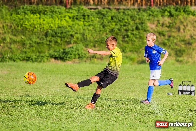 Zdjęcie w galerii na portalu naszraciborz.pl: Pewna wygrana orlików Salosu Pogrzebień nad kuźniańską Stalą wiadomości z regionu