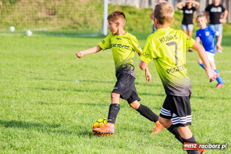 Zdjęcie w galerii na portalu naszraciborz.pl: Pewna wygrana orlików Salosu Pogrzebień nad kuźniańską Stalą wiadomości z regionu