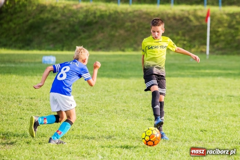 Zdjęcie w galerii na portalu naszraciborz.pl: Pewna wygrana orlików Salosu Pogrzebień nad kuźniańską Stalą wiadomości z regionu