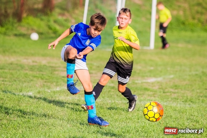 Zdjęcie w galerii na portalu naszraciborz.pl: Pewna wygrana orlików Salosu Pogrzebień nad kuźniańską Stalą wiadomości z regionu